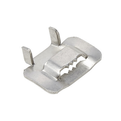 Type 201 Stainless Steel Wing Buckles